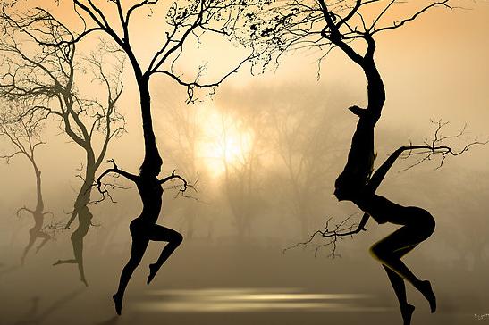 tree-dance.jpg